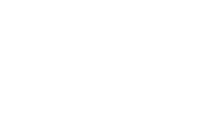 Official Selection: Virginia Film Festival 2020